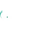 Converge Fiberxers