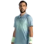 Dzumhur, Damir
