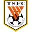 Shandong Taishan FC